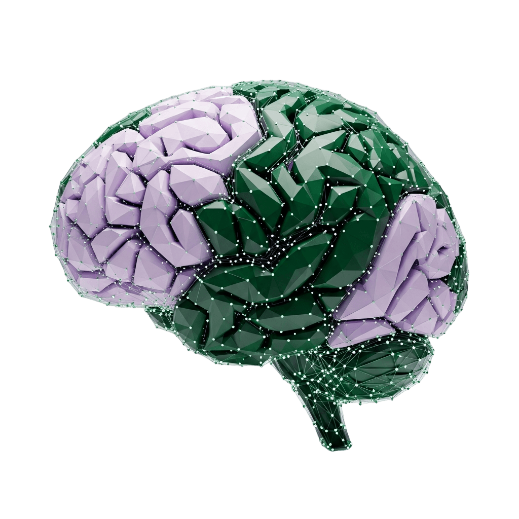 Abstract Brain Visualization